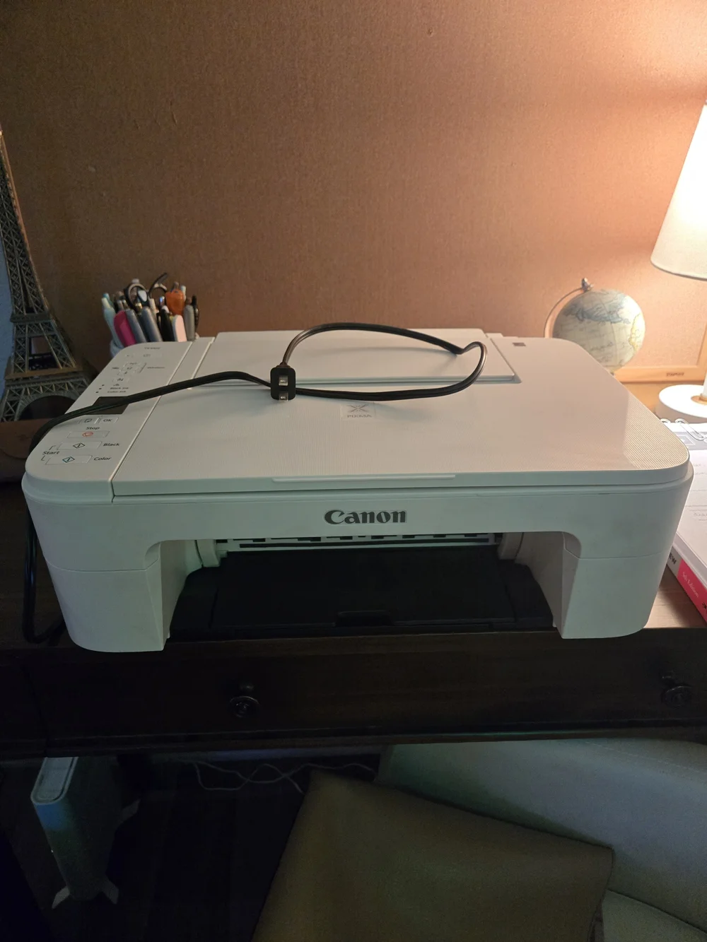 Canon White All-in-One Inkjet Printer